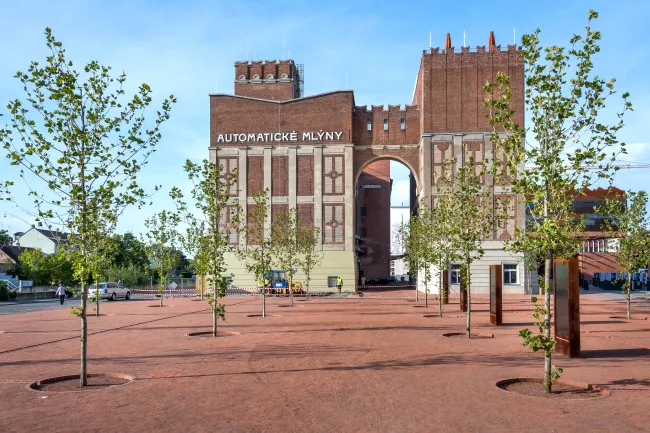 Stav prostoru před mlýny s výsatbou v roce 2023, foto Luděk Vojtěchovský. Zdroj Východočeské muzeum v Pardubicích..JPG